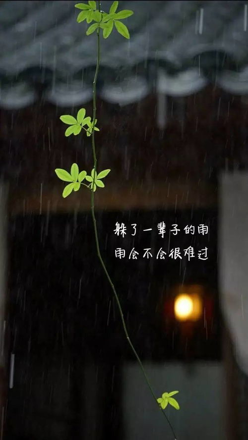 励志雨天语录，雨中的成长与力量