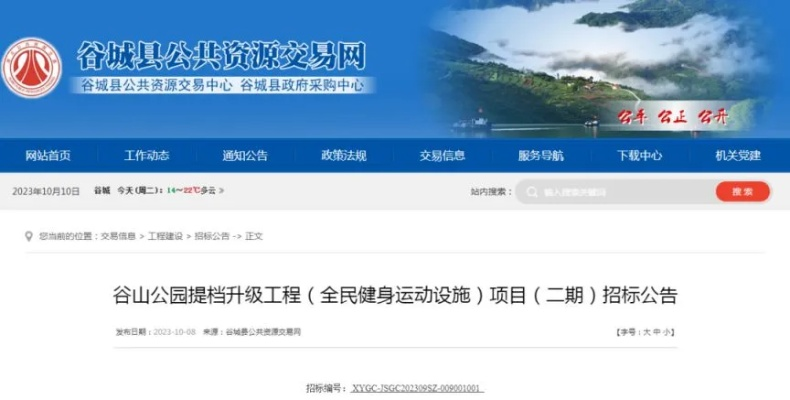谷山最新消息综述，今日动态一网打尽
