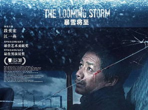 新宏泽未来步伐更坚定，最新动态揭秘！