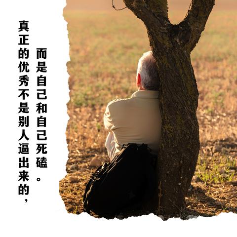 励志电影解说金句荟萃，点燃激情，启迪人生之路