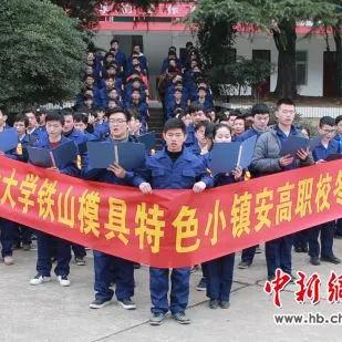 铁山镇繁荣进步揭秘，新闻头条带你领略小镇风采
