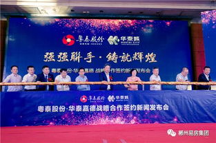 全国战况前十名揭秘，顶尖实力铸就辉煌篇章