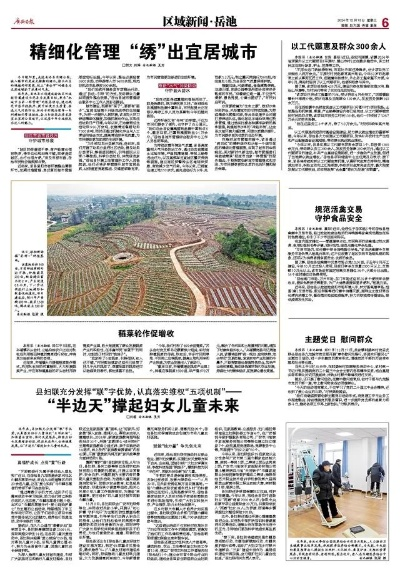 广安威远最新新闻头条，聚焦地方发展，传递正能量，百度收录标准吸睛标题