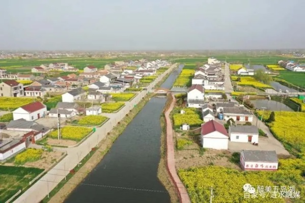 涟水县康庄镇最新发展与进步揭秘，新闻头条带你领略康庄新风貌