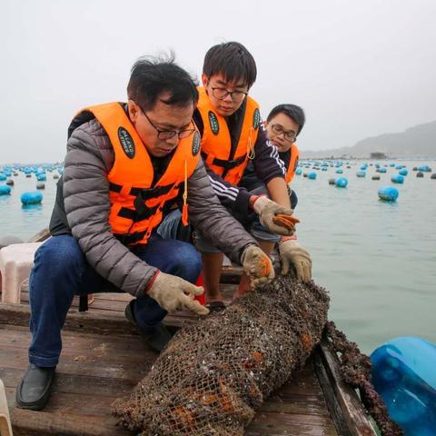 「揭秘之旅」探寻兴化古城千年历史韵味，百度带你穿越时光之旅