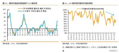 美国今日猪肉行情大解析，最新市场动态一网打尽！