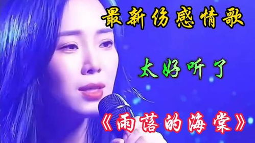 小燕直播情歌大全，真挚情感表达，感动每一刻