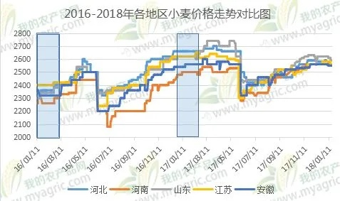 河北小麦今日价格动态及市场走势分析与预测