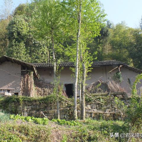 云阳街道，城市发展与社区变迁新闻聚焦