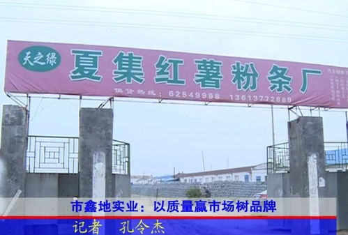 邓州新闻热点，官庄崛起与区域发展瞩目动态