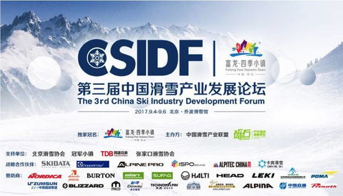 鸿源体育公司行业排名大揭秘，探寻行业领军者的成功秘诀！