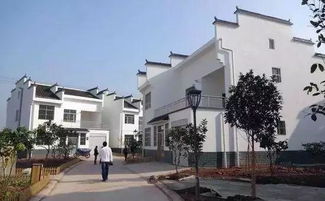 堆沟港镇繁荣崛起，小镇故事展现发展魅力