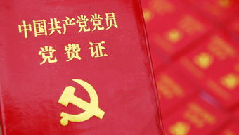 最新党费退休缴纳标准解读，你需要知道的关键点