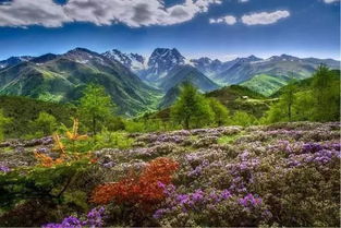 珍藏版西里池旅游攻略，探秘神秘美丽的旅游胜地！