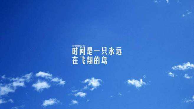 逆风翱翔，励志语录笑中带泪，引人深思