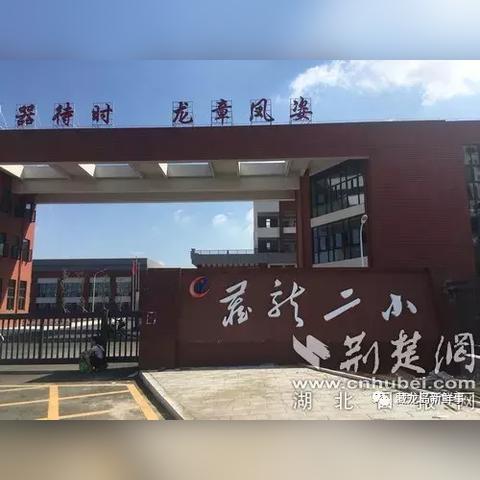 藏龙岛短期招聘信息汇总，最新工作机会一网打尽