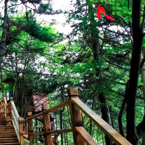 秦岭深度游攻略，揭秘自然与文化的神秘之旅