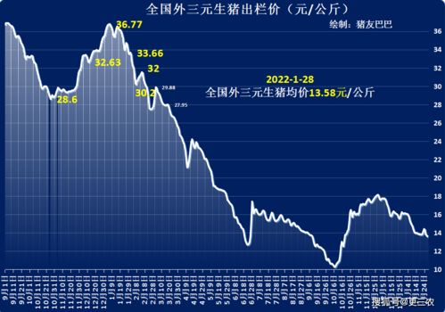 今日猪价深度解析，最新消息、趋势预测与洞悉