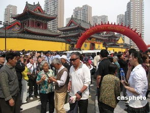 东兴寺新闻热点，历史底蕴与现代风采的完美融合