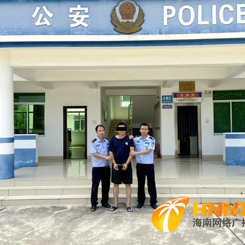 儋州海岸最新动态与发展探索，新闻头条尽在掌握