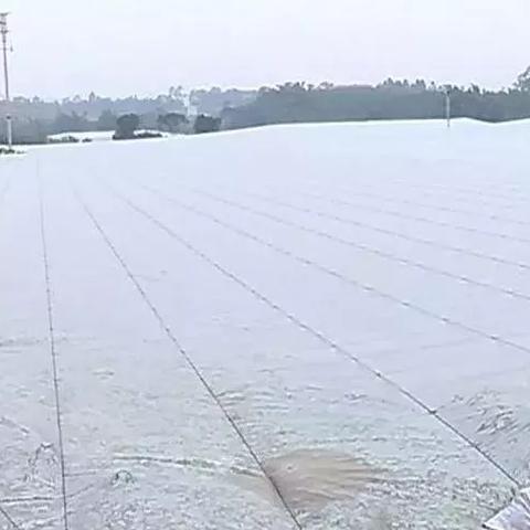水产保温箱制造公司排行榜及行业影响力深度解析