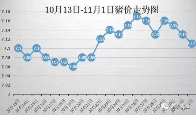 农村最新猪价动态，今日价格揭秘，市场趋势深度解析