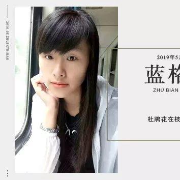 今日格子潮流风尚，最新视频播放，探索时尚魅力展现独特风采