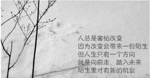 励志感恩员工，英文语录传递正能量心声