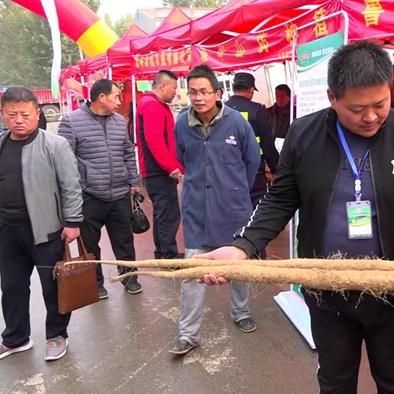 聊城网店TOP10榜单揭秘，电商繁荣盛景一览