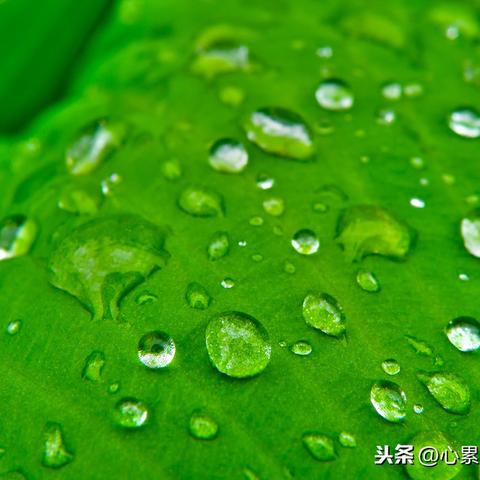 励志语录，坚守梦想，勇敢前行，成就辉煌人生