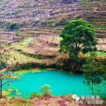 黄金市场与银行业务交融新动态，金子今日最新消息揭秘