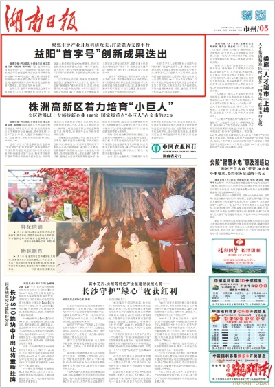 潇湘日报时事聚焦，传递真实声音，掌握最新热点资讯