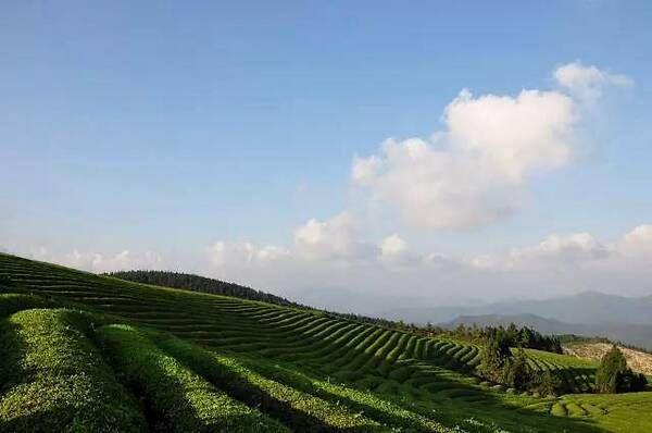 福泉山景区门票攻略，最新全面解析