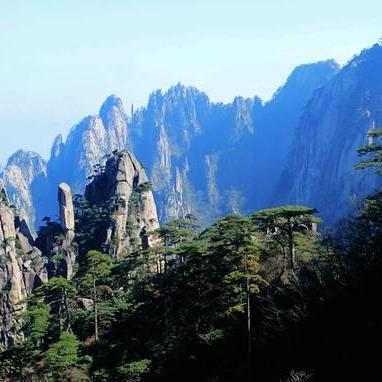 全国黄牛储量排名TOP10榜单揭晓！
