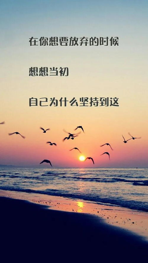 励志语录，女性力量，超越想象的坚韧与伟大