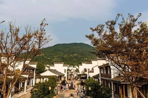 桔子之乡旅游攻略，探访美丽桔子厂，尽享独特风味与美景