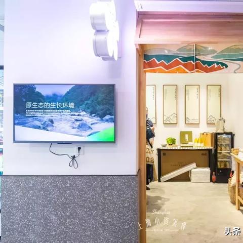 桃园商店购物指南，最新购买攻略