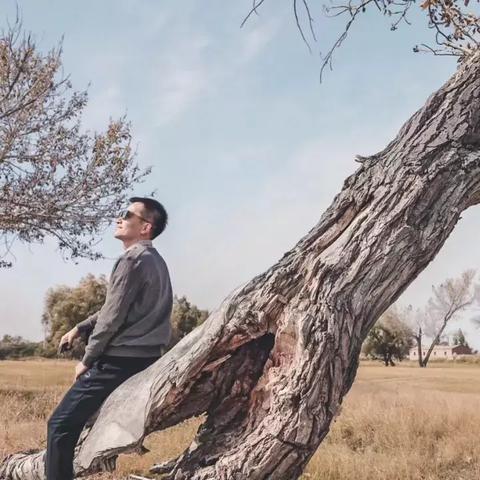 喀纳斯与青岛，梦幻联动深度游攻略，绝美旅行体验！