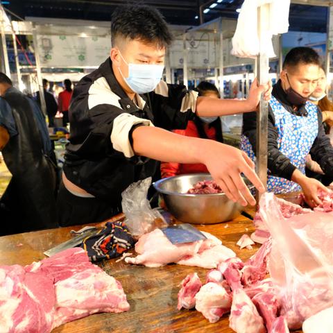 蒙自今日肉价行情分析，最新消息、市场走势与影响因素探讨