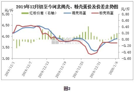 长颈鸟喙 第3页