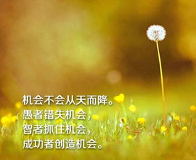 励志医美语录，塑造心灵美，开启美丽人生之旅