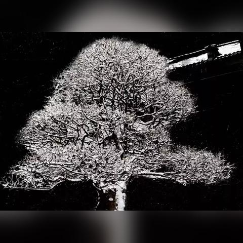 椎髻布衣 第3页