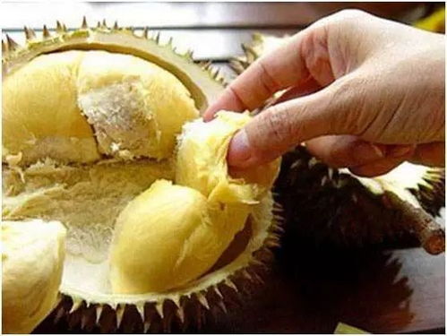 榴莲品牌排行榜TOP10，榴莲界的佼佼者深度探寻