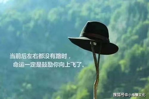 励志高考电影爱情语录，梦想与爱并肩前行