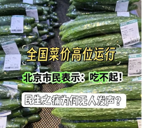 蛙鸣蚓叫 第3页