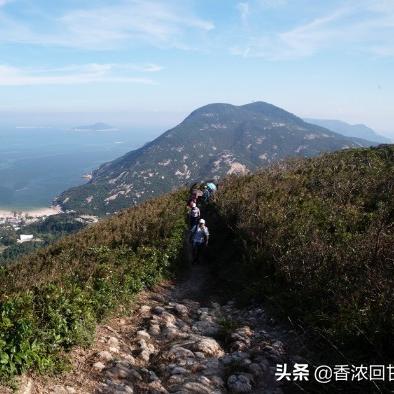 香港渡轮服务全攻略，价格透明，更多信息一键掌握！