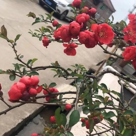 斜阳下的时事聚焦，今日新闻头条全览