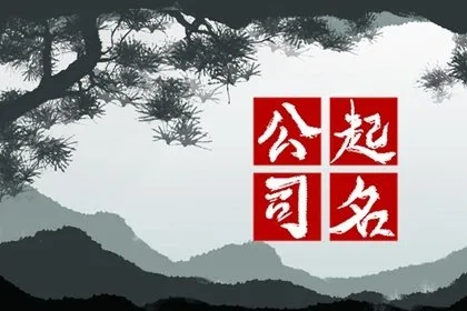 吉安起名公司排名揭秘，专业命名艺术探寻