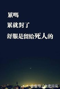大雪纷飞 第3页