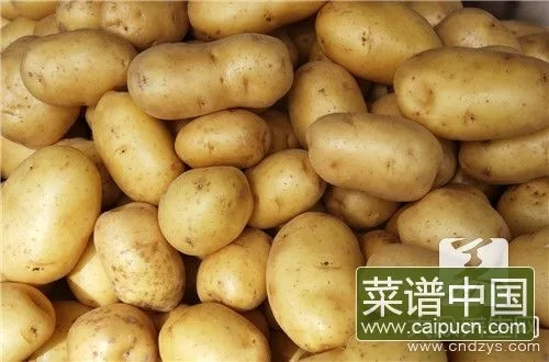 土豆今日最新报价揭秘，市场走势、种植户反应与行业深度分析